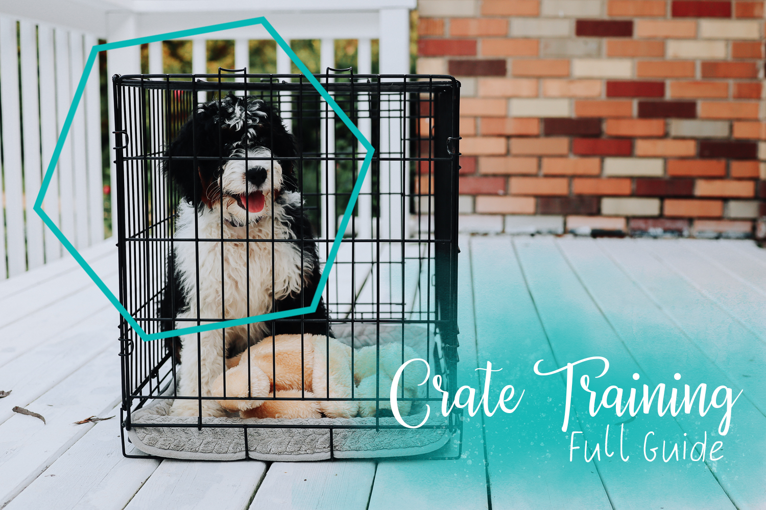Crate Training your new puppy. Full Guide Joley Aire
